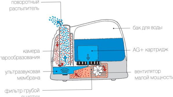 Schéma de fonctionnement de l'humidificateur à ultrasons