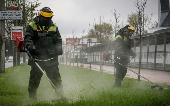 Tonte de l'herbe par temps de pluie